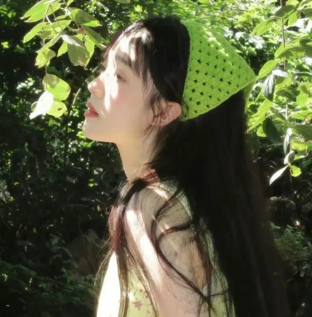 神探飞机头